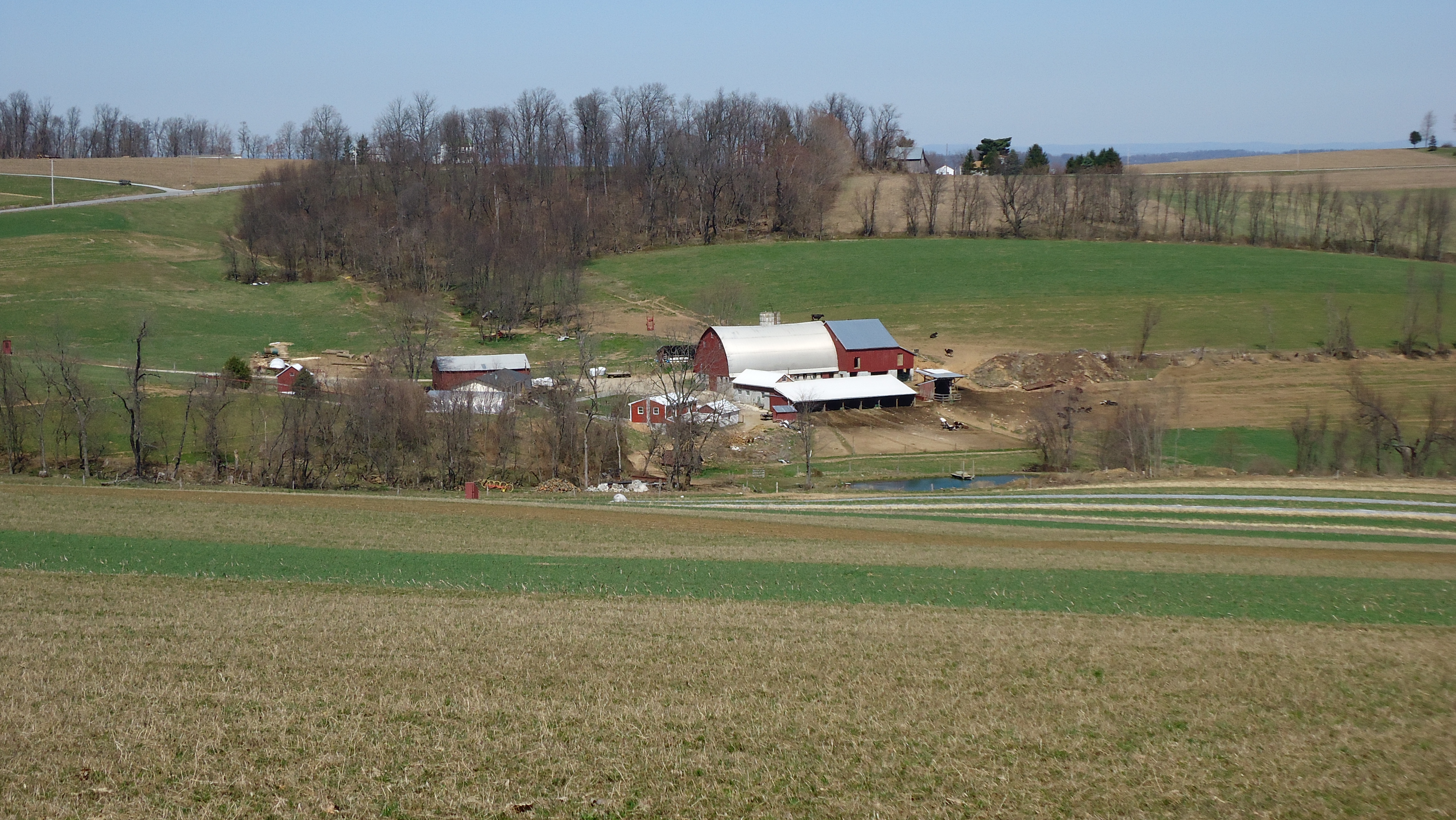 Amish Farm 2